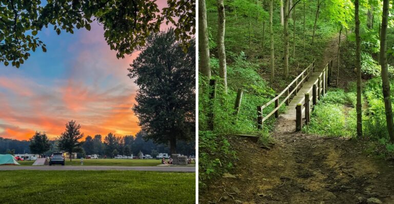 18 Ohio Campgrounds With Dog-Friendly Trails Near The Site