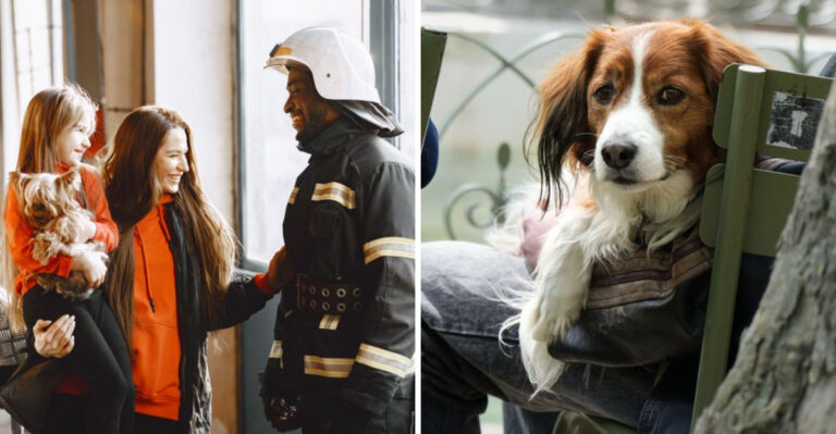 How Hurricane Evacuation Planning Changes When You Own A Dog In Louisiana