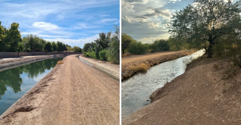 15 Arizona Canal Paths For Long, Level Walks With Your Dog