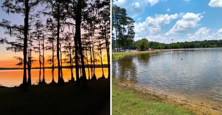 18 Alabama Lakeside Picnic Areas With Easy Trails For Dogs