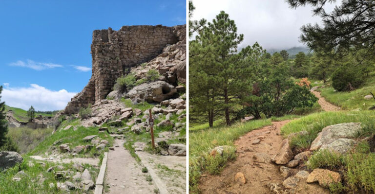 15 Colorado Places Where Rattlesnakes Can Turn A Dog Walk Into A Risk