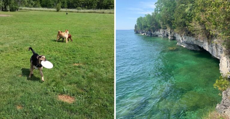Dog-Friendly Wisconsin Door County Weekends Outside The Busiest Summer Weeks