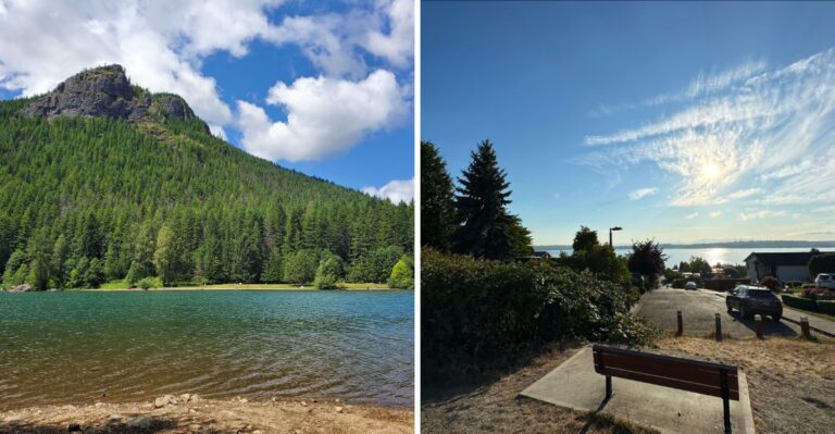 17 Washington Rail Trails For Long Dog Walks Beyond Mountain Trailheads