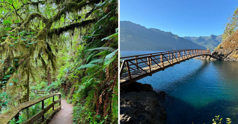 16 Washington Road Trips Built Around Forests, Islands, Mountains, And Dog-Friendly Stops
