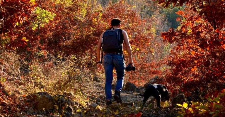 How Wind And Rapid Weather Changes Complicate South Dakota Dog Hikes