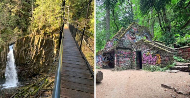 17 Oregon Forest Trails To Explore With Your Dog