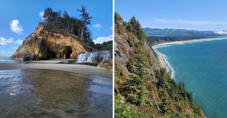 18 Oregon Coast Adventures You Can Take With Your Dog