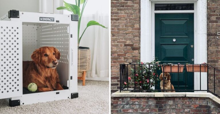 18 Pennsylvania Rowhouse Setups To Finish Before Bringing Home A Puppy