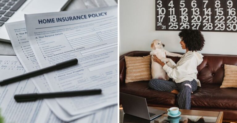20 Things California Renters Should Settle Before Bringing Home A Puppy
