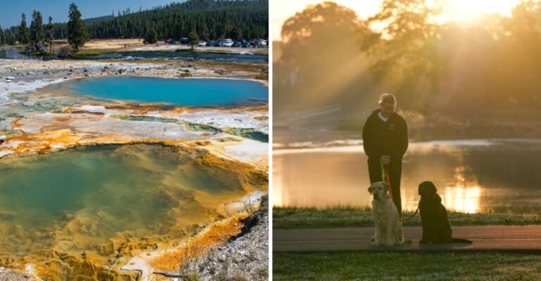 How To Keep Dogs Safe Around Arkansas Hot Springs And Geothermal Water