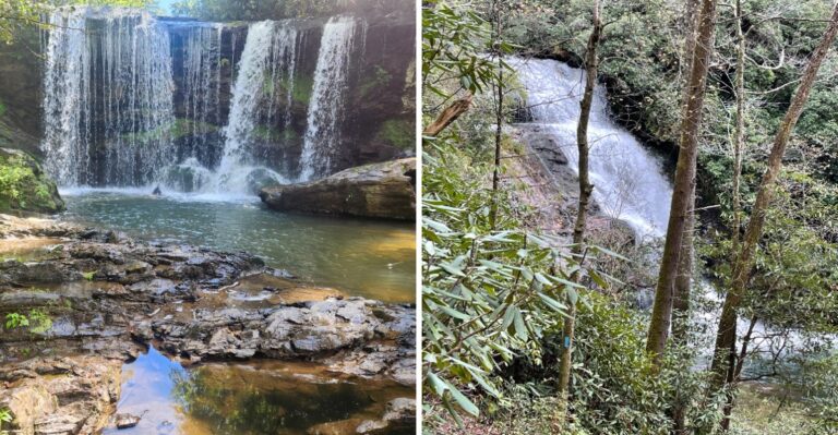 15 South Carolina Waterfall Routes Where Dogs Can Join The Hike