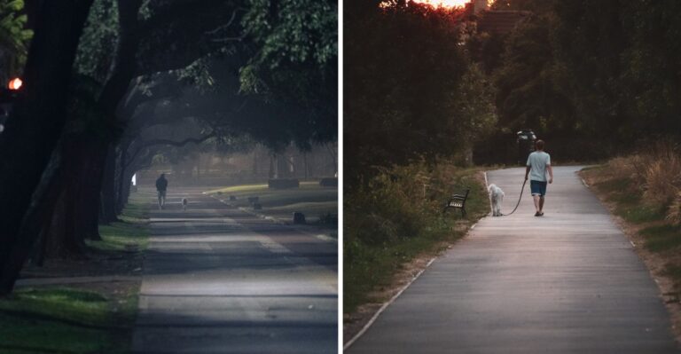 How Extreme Humidity Can Keep Dog Walks Risky After Sunset In Louisiana
