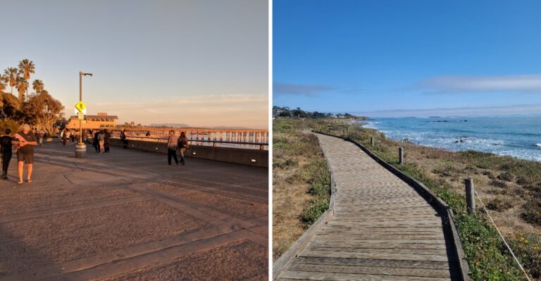 15 California Lighthouse Grounds And Coastal Promenades To Visit With A Dog