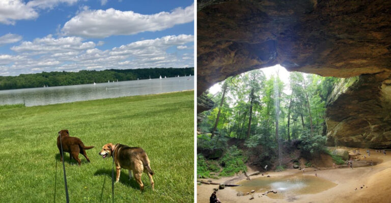 18 Ohio Outdoor Adventures That Are More Fun With A Dog