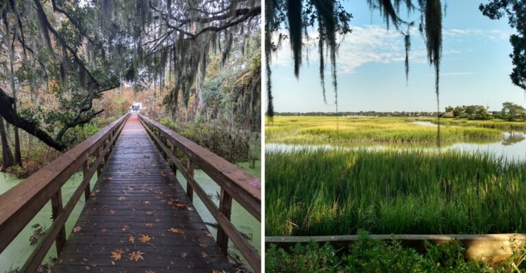 20 South Carolina Marsh Boardwalks With Sections Open To Leashed Dogs