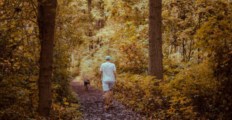 Why Tick Checks Matter After Indiana Woodland Trails
