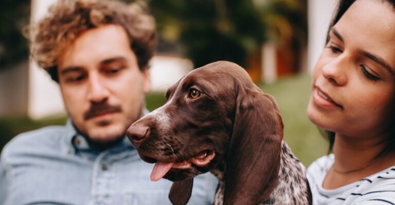 What Texas Law Says About Dog Custody After Divorce Or Separation