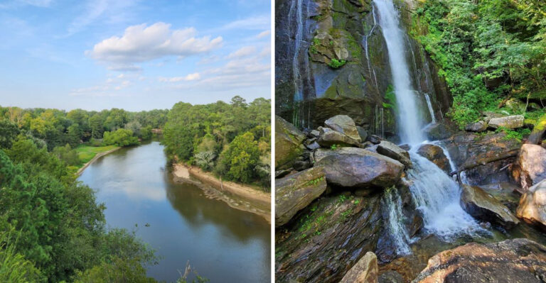 17 North Carolina Places To Explore With A Dog When You Need A Break From The City