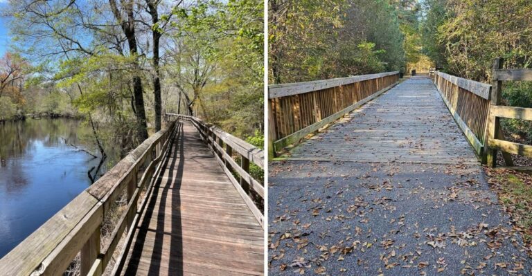 16 North Carolina Riverwalks For Dogs That Prefer Level Ground