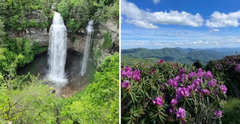 17 Tennessee Camping Trips That Are Better With A Dog Along