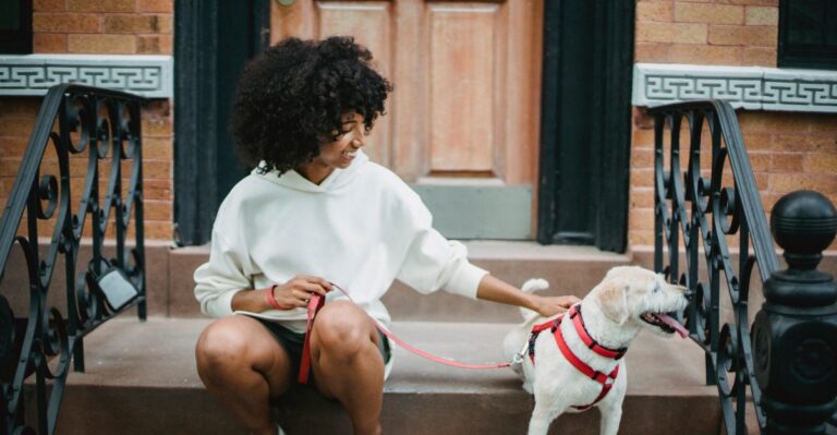 Pittsburgh Hills And Philadelphia Rowhouses Create Very Different Puppy Routines In Pennsylvania
