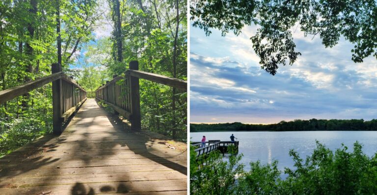 16 Indiana Prairie And Wetland Boardwalks Open To Leashed Dogs