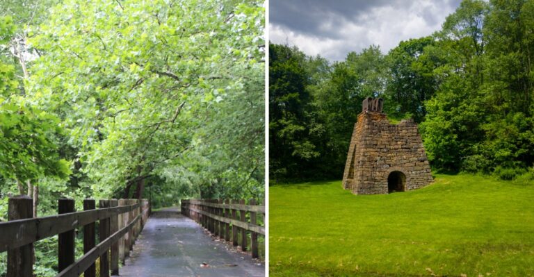 17 Pennsylvania Coal-Heritage Paths To Explore With A Leashed Dog