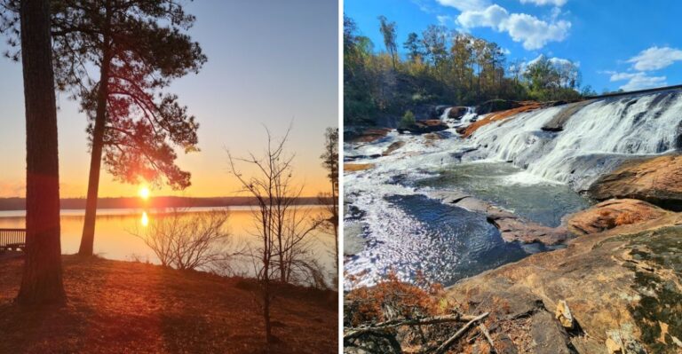 20 Georgia Campgrounds With Dog-Friendly Trails Beyond The Campsite