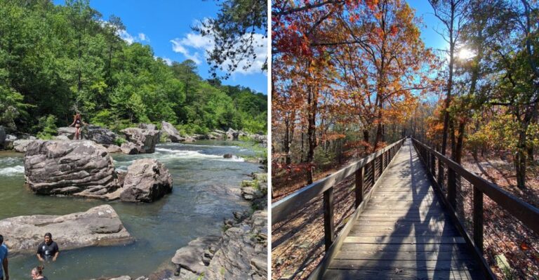18 Shady Alabama Creek Walks For Dogs On Hot Summer Days
