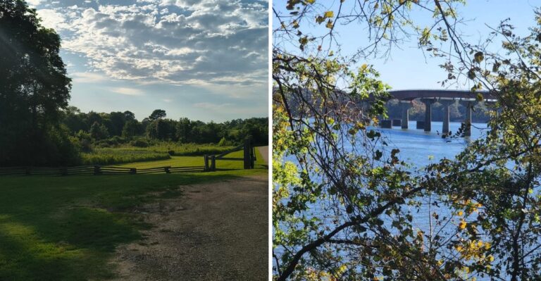 Dog-Friendly Stops Along The Natchez Trace For A Mississippi Road Trip