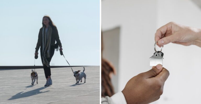 19 Questions California Dog Owners Should Ask Before Hiring A Walker Who Handles Apartment Or Condo Access