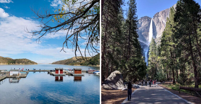 20 California Outdoor Adventures Dog Owners Can Enjoy Beyond The Usual Neighborhood Walk
