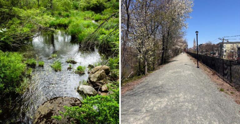 17 New Jersey Reservoir Loop Trails For Long Dog Walks Away From Traffic