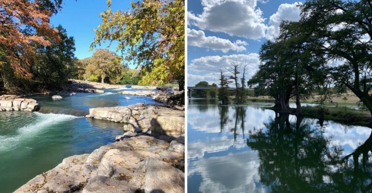 Dog-Friendly Texas Hill Country River Trips For Dogs That Love The Water