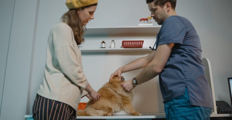 Rural Northern Pennsylvania Dog Owners Need A Different Specialty-Vet Plan Than City Residents