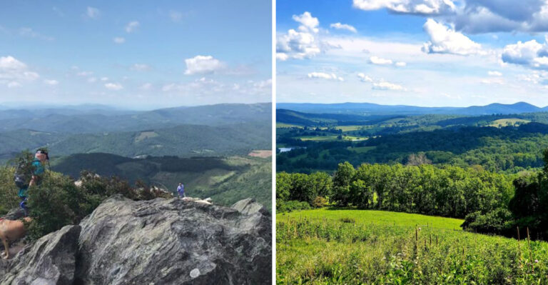 16 Virginia Mountain Trails And Scenic Walks To Explore With Your Dog
