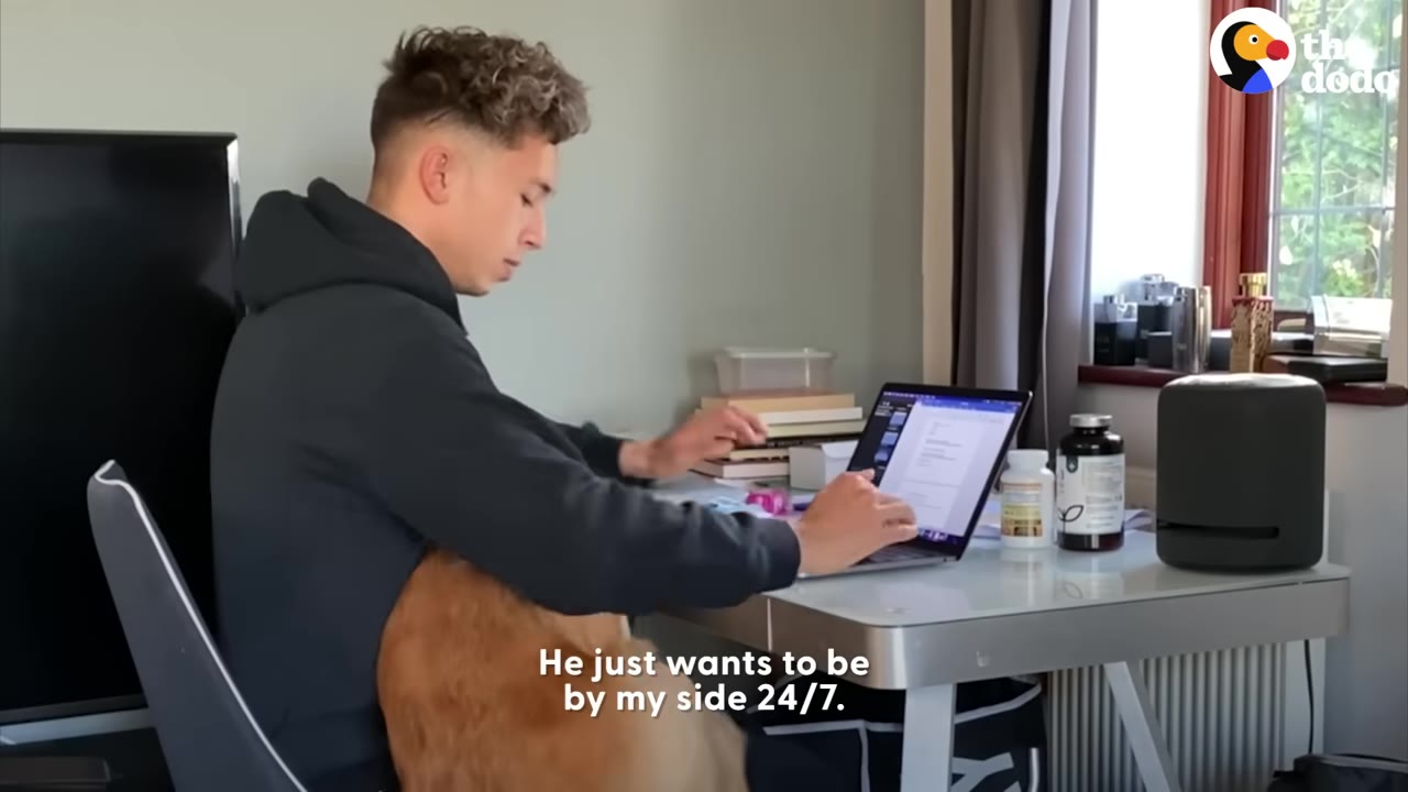 A young man sits at a desk typing on a laptop with a golden retriever sitting in his lap.