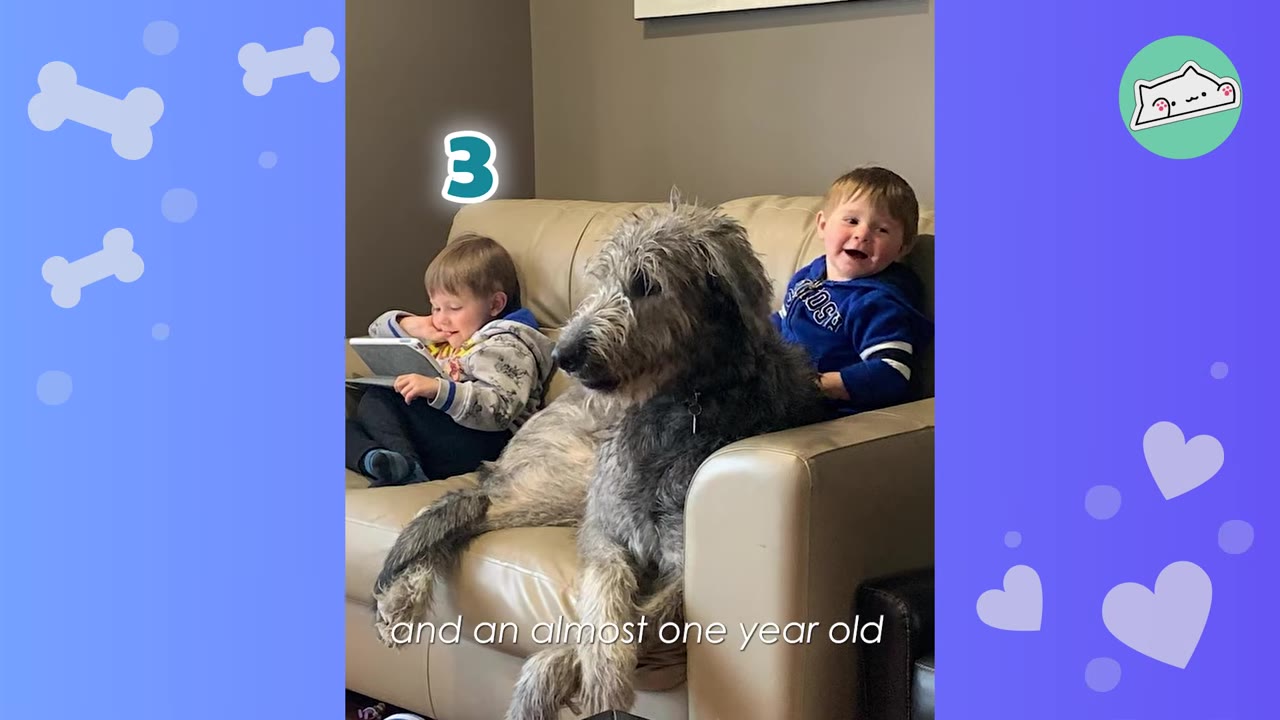Two young boys sitting on a beige couch next to a large, shaggy grey Irish Wolfhound dog, with one boy smiling happily.