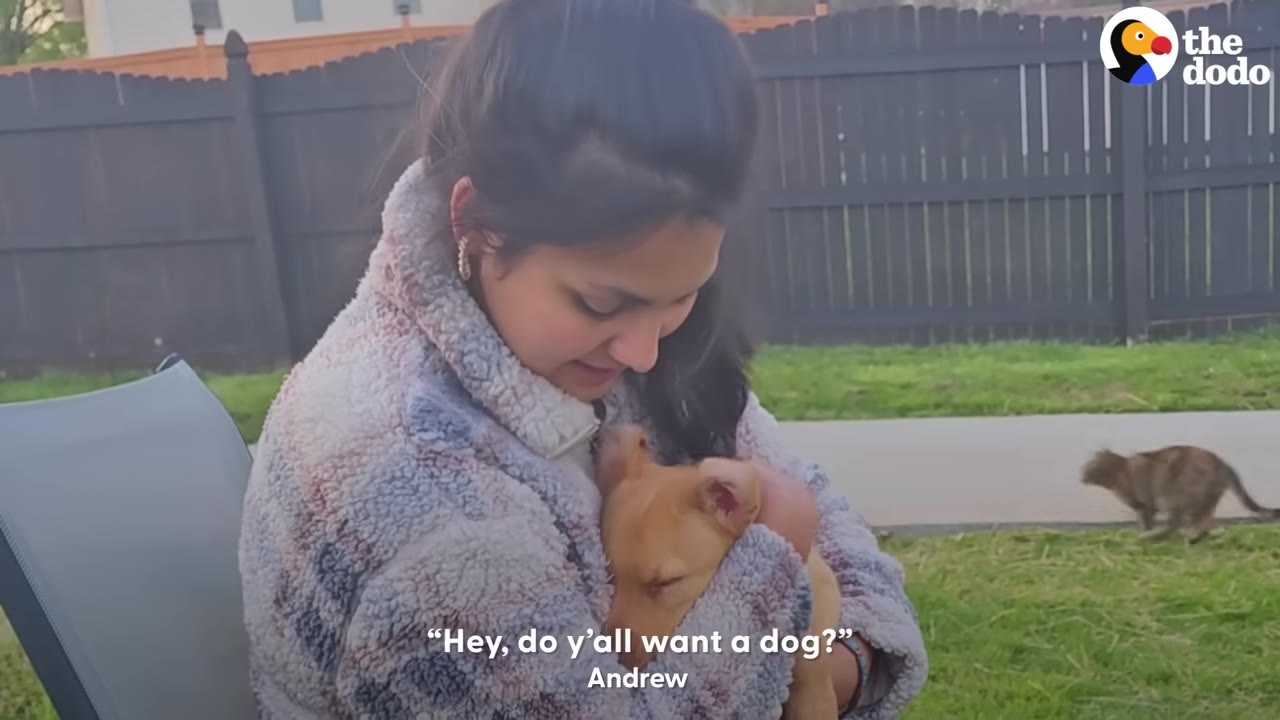 A woman in a fuzzy jacket cradles a small brown puppy in her arms outdoors, with a subtitle that reads, 'Hey, do y'all want a dog?'