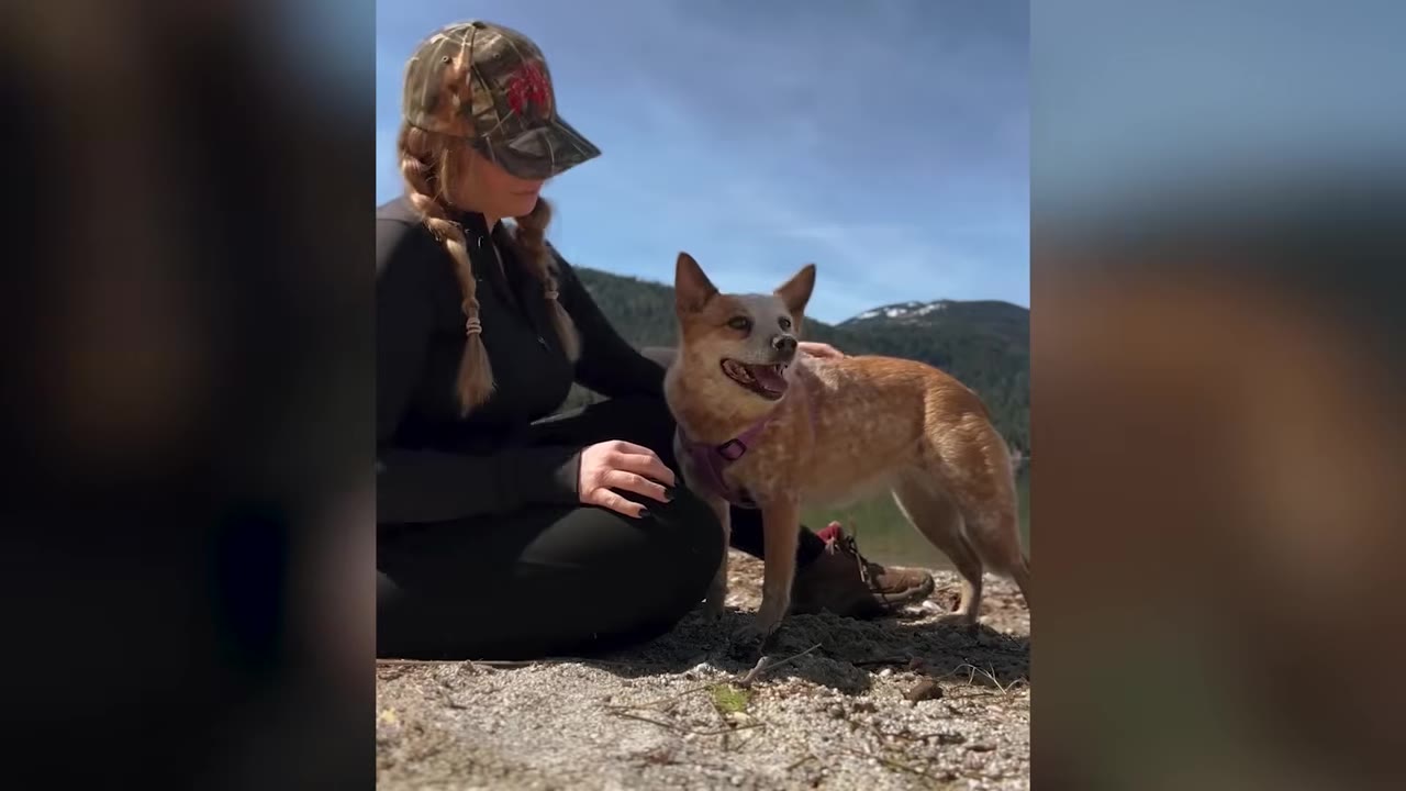 A woman wearing a camouflage cap and black jacket sits on a sandy shore next to a red heeler dog, looking down thoughtfully.