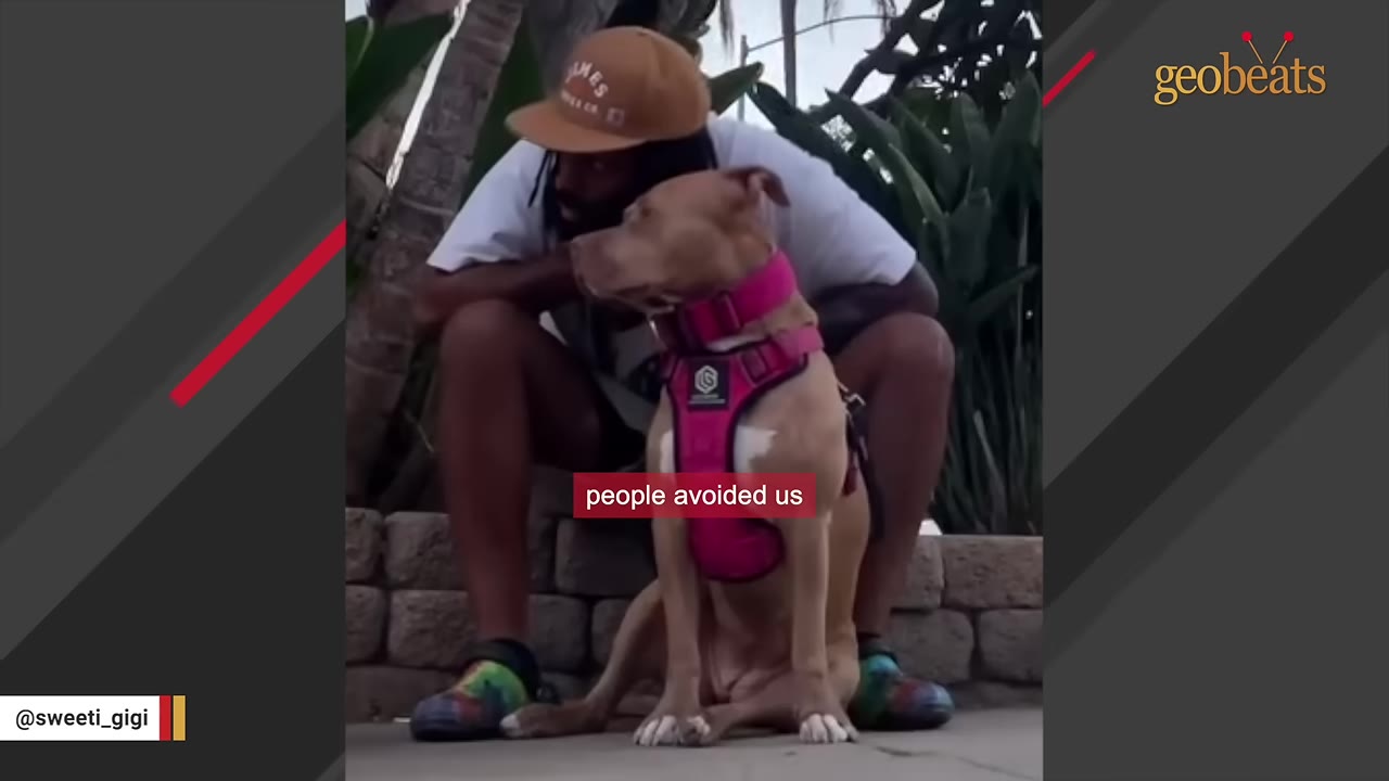 A man wearing a brown cap sits on a stone curb behind a tan dog wearing a bright pink harness, with a text overlay that reads 'people avoided us'.