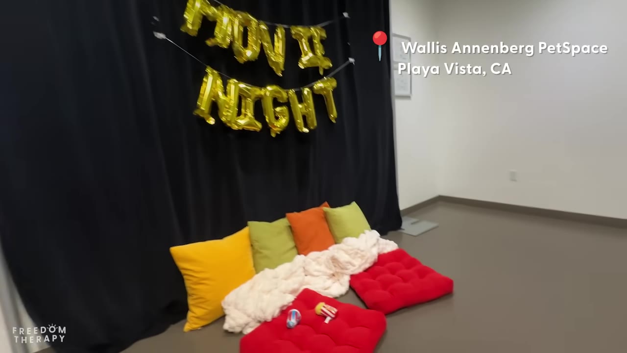 A cozy setup on the floor of a room featuring colorful pillows, plush blankets, red cushions, and gold balloons spelling out 'MOVIE NIGHT' against a black curtain backdrop.