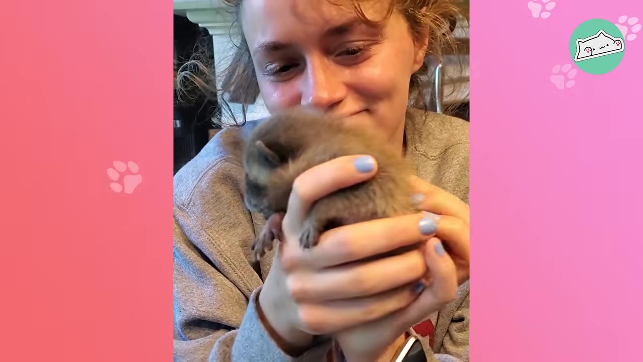 A close-up of a woman looking down lovingly at a tiny, furry baby raccoon cradled in her hands.