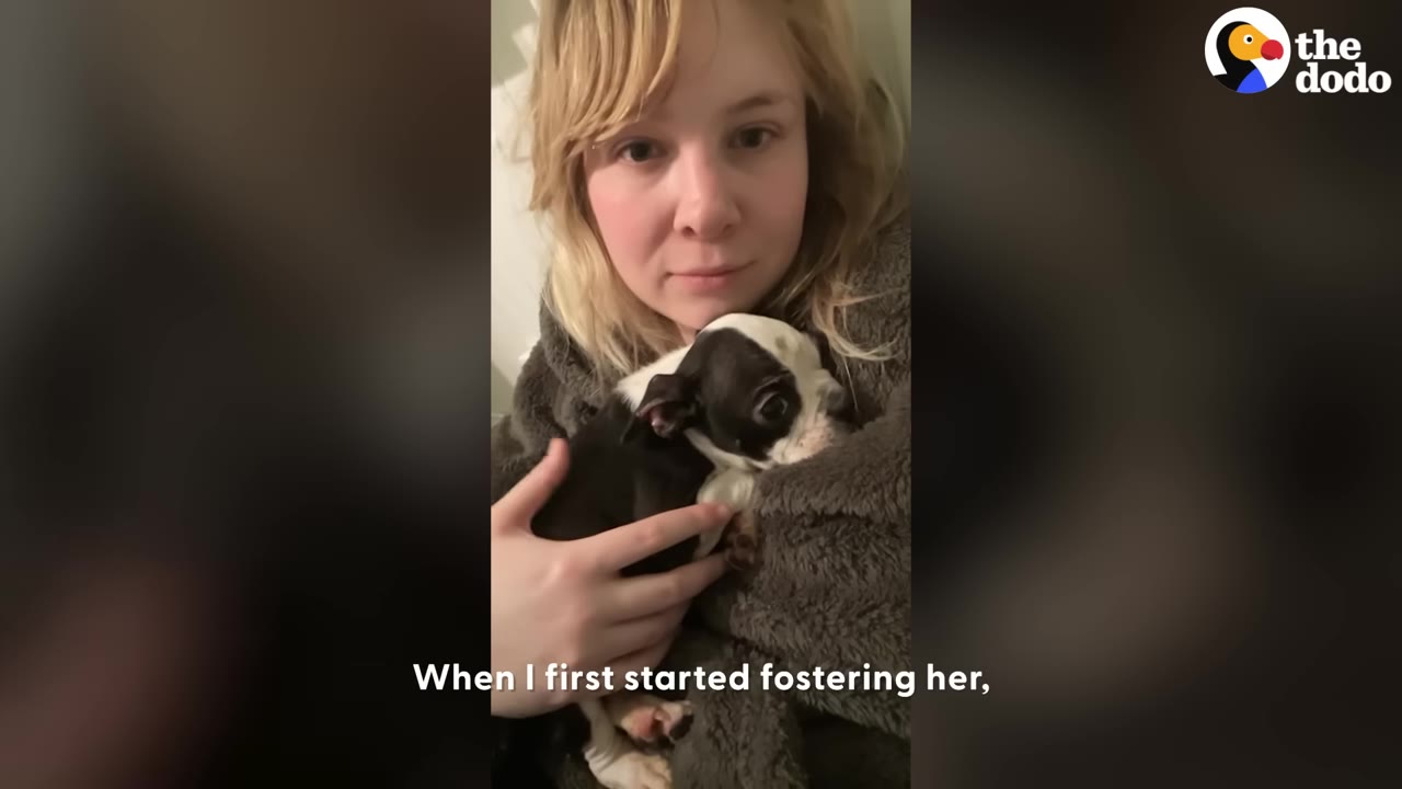 A woman with blonde hair holds a tiny black and white puppy wrapped in a grey blanket close to her chest.