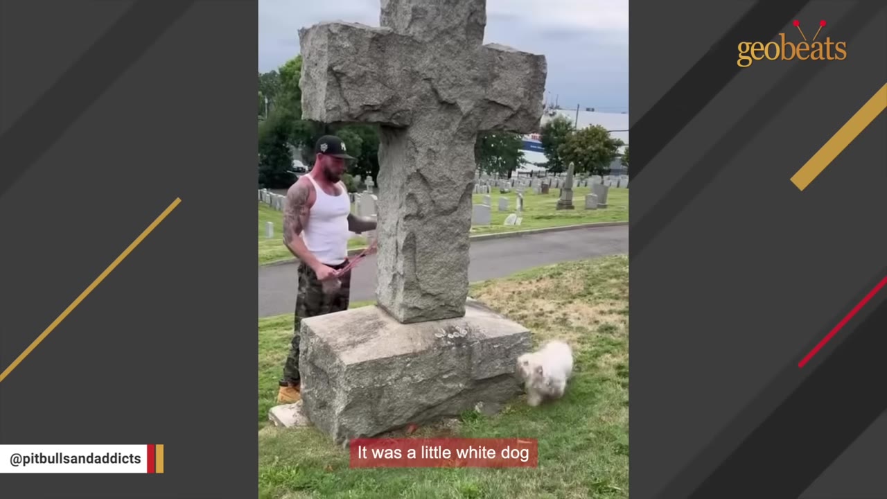 A man in a white tank top and camouflage pants stands next to a large stone cross monument in a cemetery, while a small white dog walks on the grass nearby.