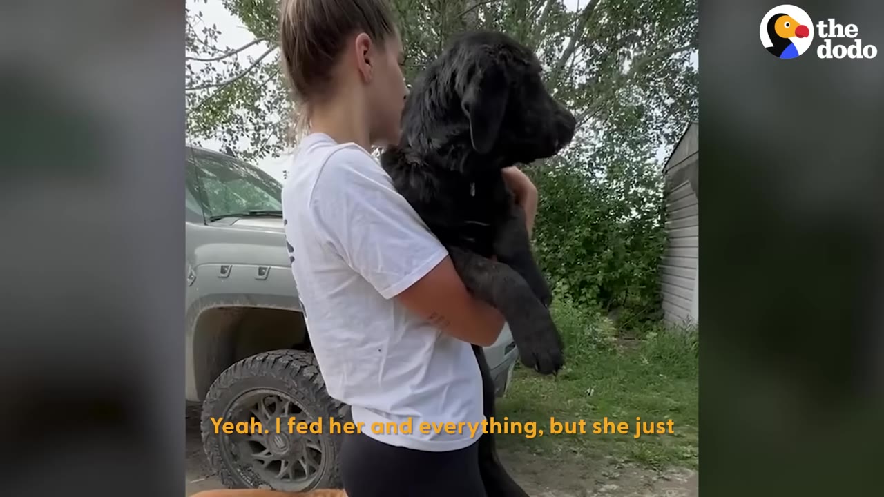 A woman in a white t-shirt holding a black dog in her arms outdoors next to a grey truck.