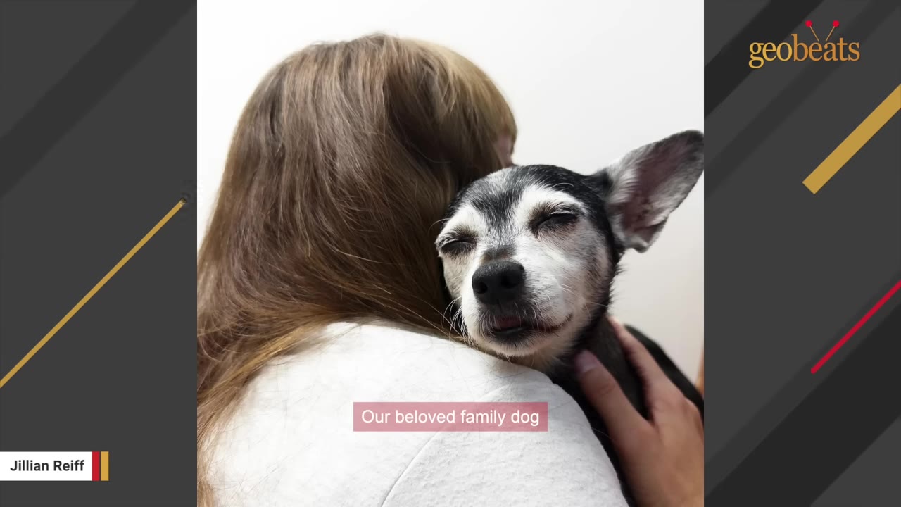 A woman with long brown hair hugs a small, senior black and white dog who has its eyes closed peacefully.