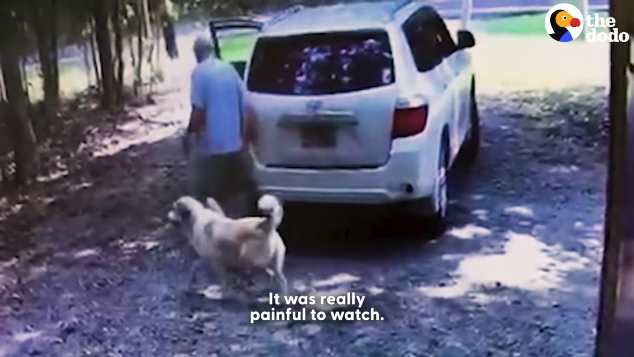 A surveillance camera capture of a light-colored dog happily walking behind a man next to a white SUV parked on a dirt road.