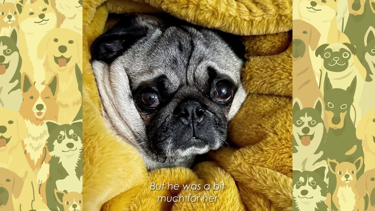A close-up of a pug puppy wrapped snugly in a soft yellow blanket, looking directly at the camera with wide, expressive eyes.