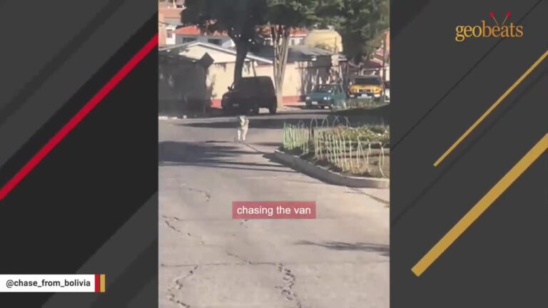 Tennessee Travelers Pull Away In Their Van Then Notice Something Chasing Them Down A Bolivian Road